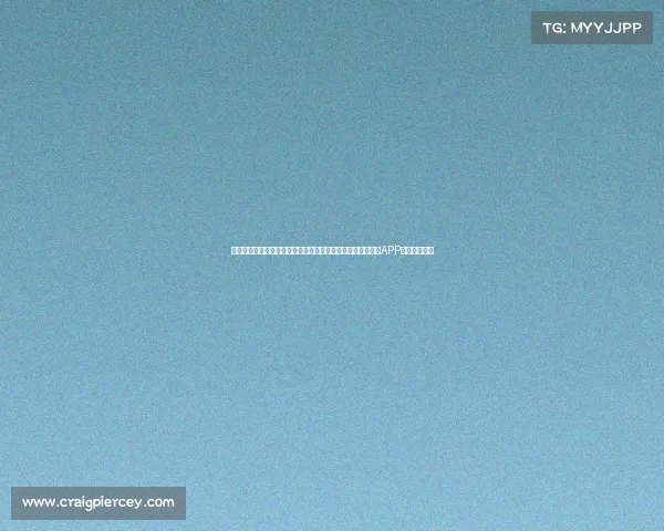 格斗赛事在哪看、格斗迷必看格斗赛事在哪看全方位直播平台APP观看指南大全